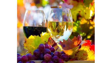 Auf dem Bild sind zwei Gläser Wein zu sehen. In einem befindet sich Weißwein in dem anderen Rotwein. Die beiden Gläser sind umgeben von Weinblättern und Weintrauben. Die Weinblättern haben herbstliche Farben.