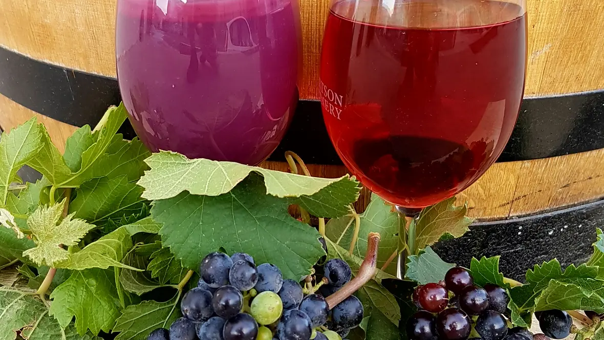 bentonithefe-aus-wein-ungefiltert-und-gefiltert