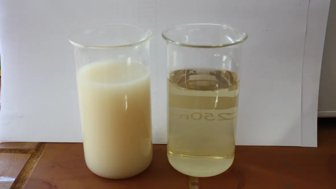 filtration-zellulose-kollagen