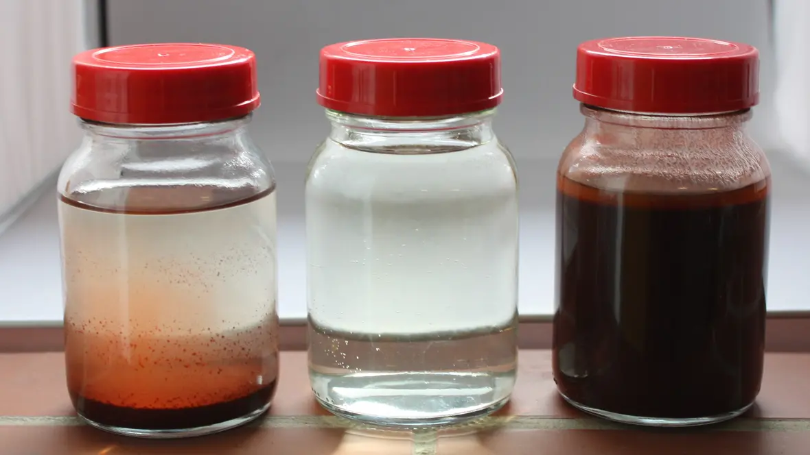 rote-algen-gefiltert-und-ungefiltert